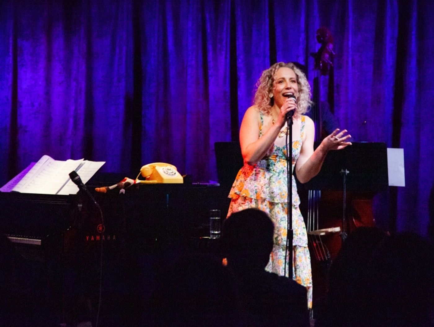 Review: Jessica Fishenfeld Keeps The SUNNY SIDE UP Down In The Basement At The Birdland Theater Review: Jessica Fishenfeld Keeps The SUNNY SIDE UP Down In The Basement At The Birdland Theater Image