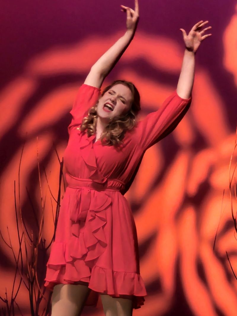 Feature: VILLAINS OF BROADWAY at Red Curtain Theatre  Image