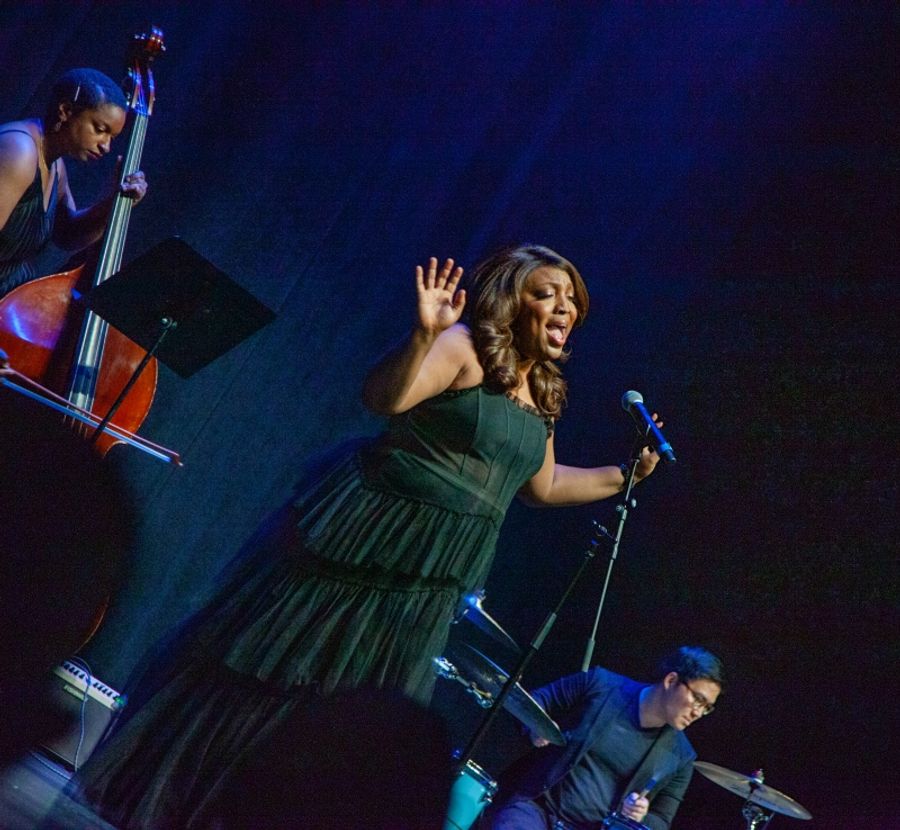Review: AN EVENING WITH L MORGAN LEE Charms Charming Audience at Newman Mills Theater Image