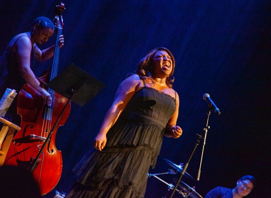 Review: AN EVENING WITH L MORGAN LEE Charms Charming Audience at Newman Mills Theater Image