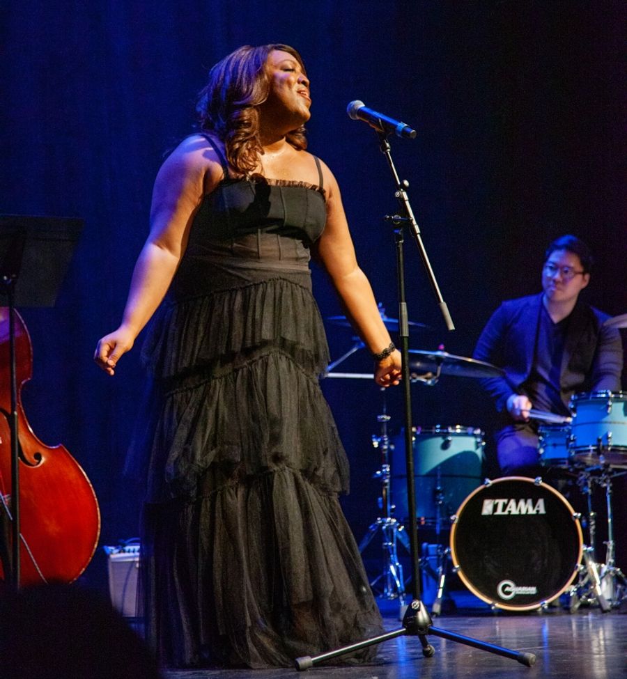 Review: AN EVENING WITH L MORGAN LEE Charms Charming Audience at Newman Mills Theater Image