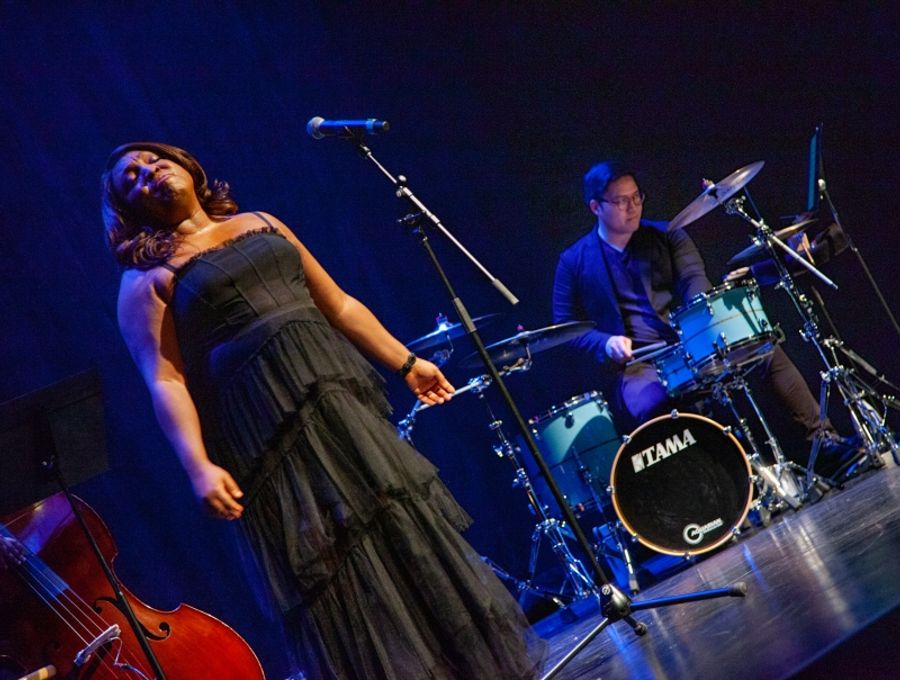 Review: AN EVENING WITH L MORGAN LEE Charms Charming Audience at Newman Mills Theater Image