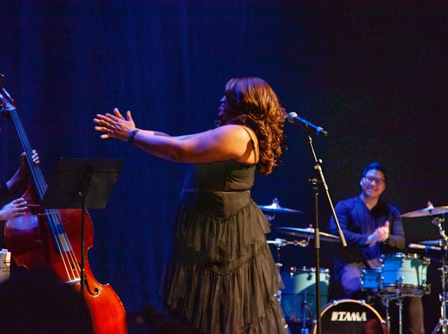 Review: AN EVENING WITH L MORGAN LEE Charms Charming Audience at Newman Mills Theater Image