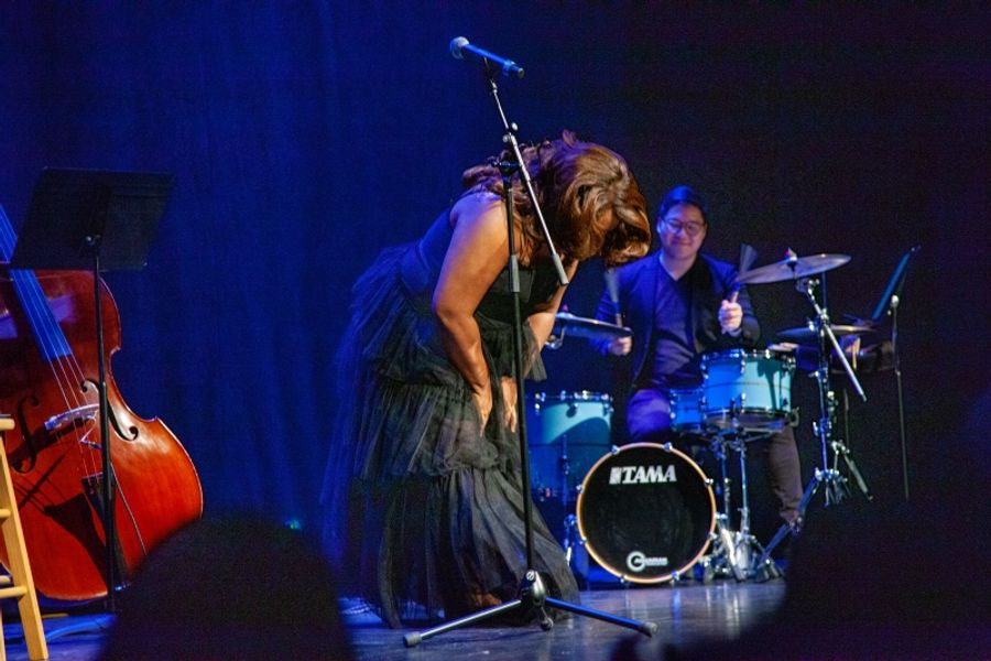Review: AN EVENING WITH L MORGAN LEE Charms Charming Audience at Newman Mills Theater Image