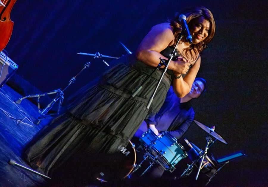 Review: AN EVENING WITH L MORGAN LEE Charms Charming Audience at Newman Mills Theater Image