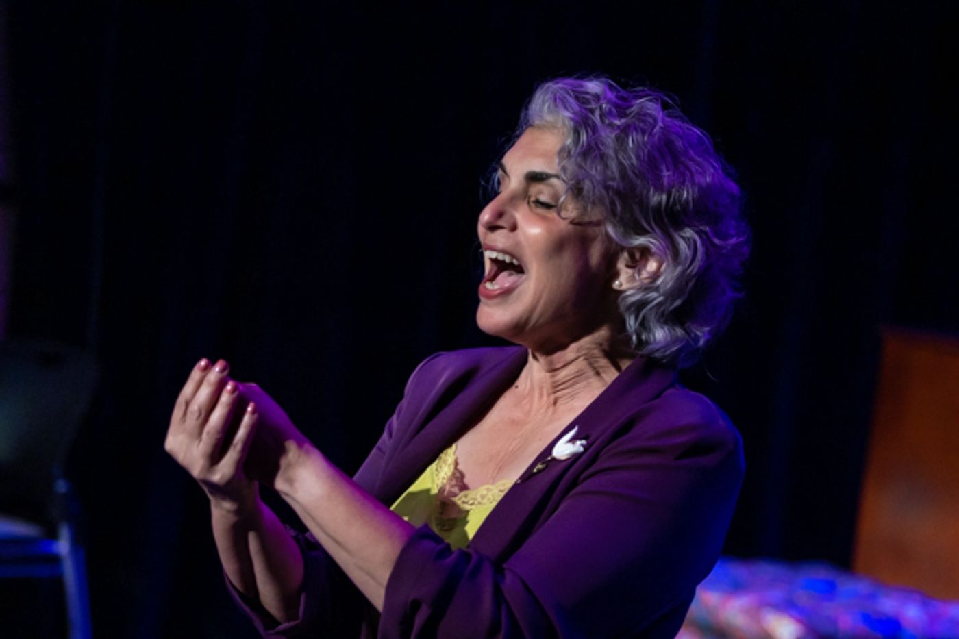 Photos: First look at New Herring Productions' THE VAGINA MONOLOGUES  Image