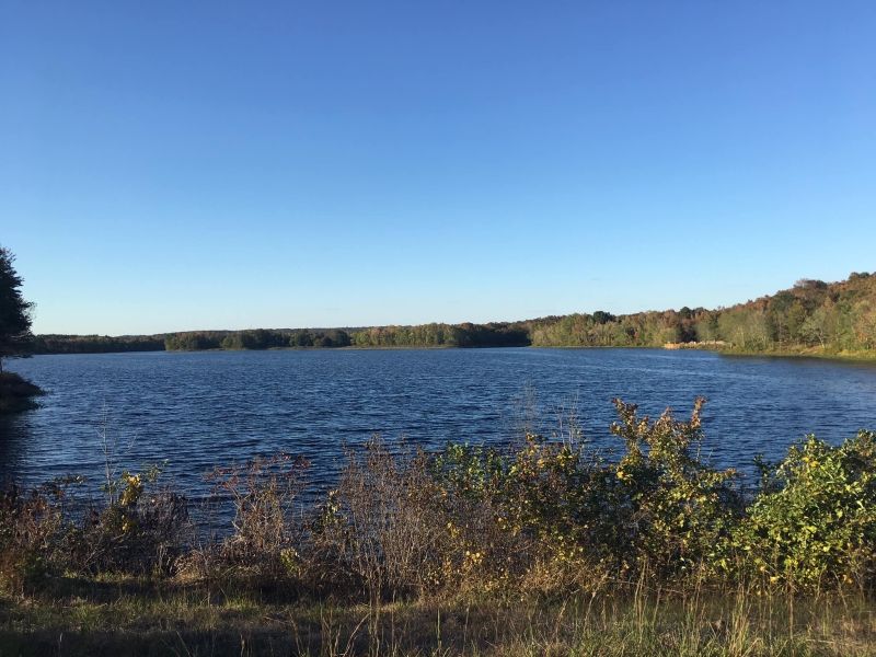 Feature: Barth Grayson Farms Brings Back KNOBSTOCK and Plans for The Future  Image