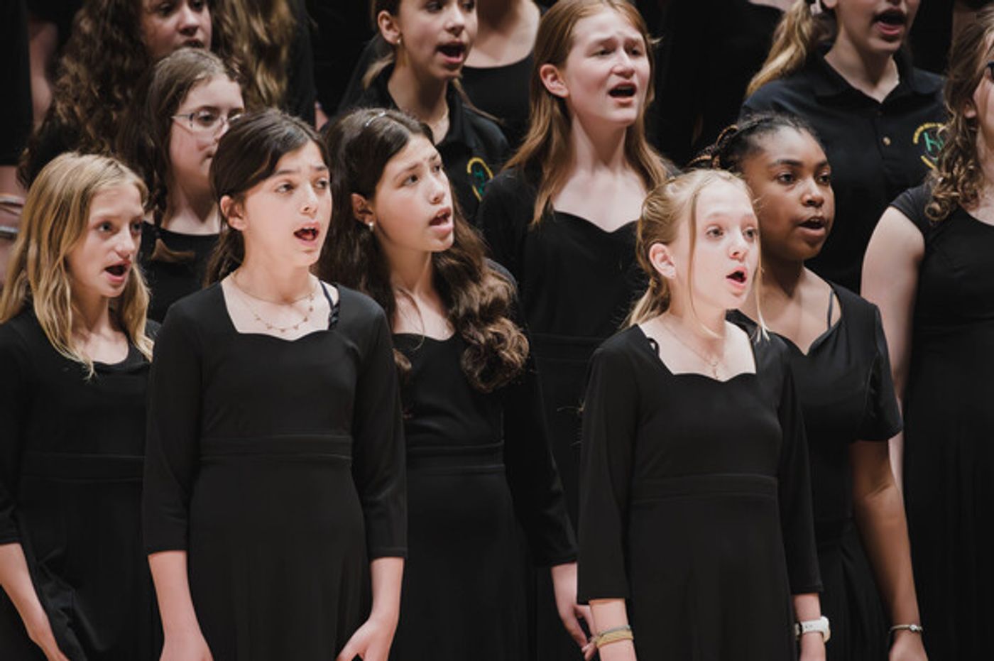 Photos: Distinguished Concerts International New York Celebrates A Successful Concert At Carnegie Hall  Image