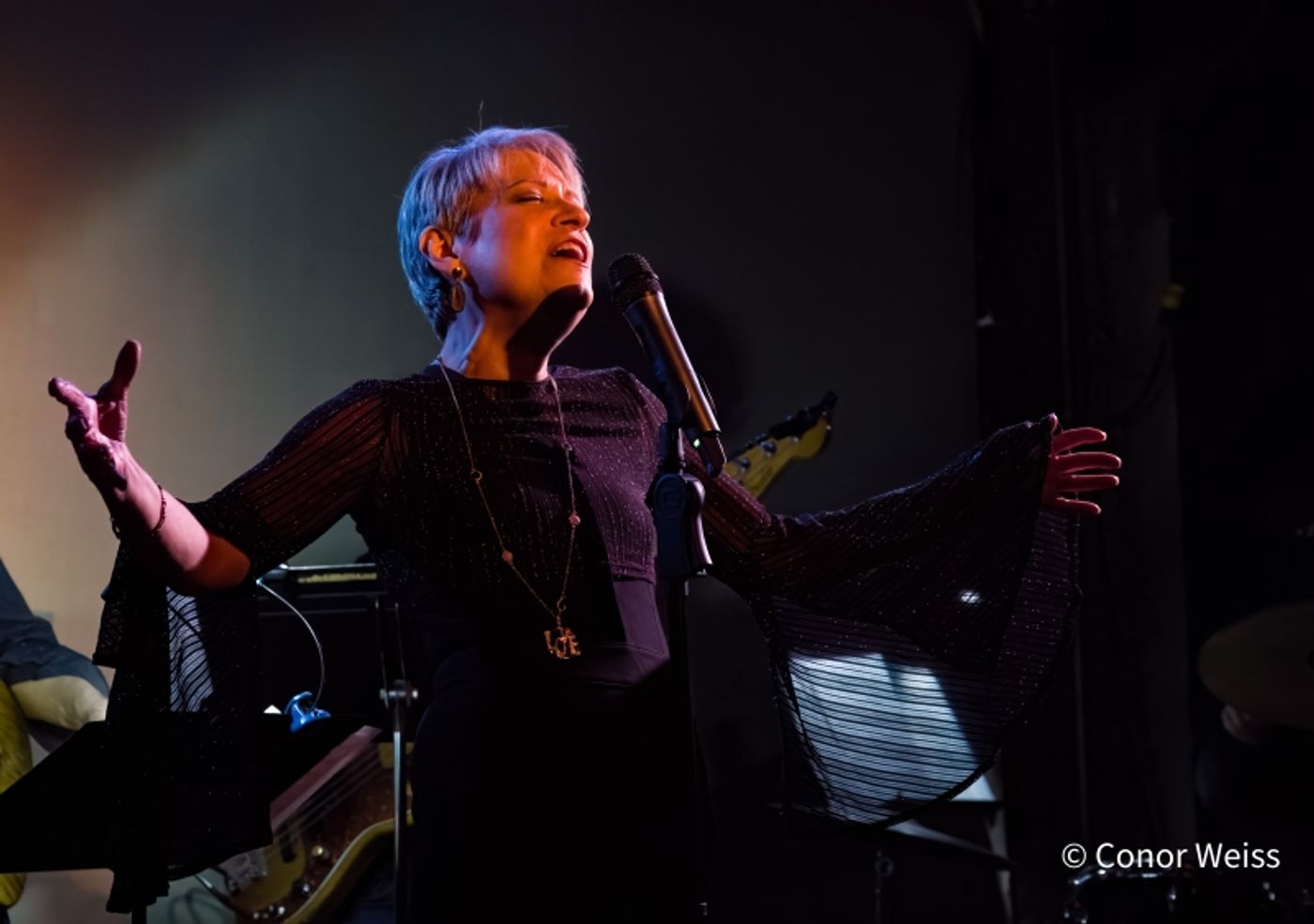 Photos: Award Winner Goldie Dver Premieres BRIDGES at Don't Tell Mama Photos: Award Winner Goldie Dver Premieres BRIDGES at Don't Tell Mama Image