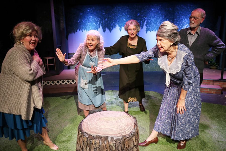 Photos: First Look at The Group Rep's MORNING'S AT SEVEN Image