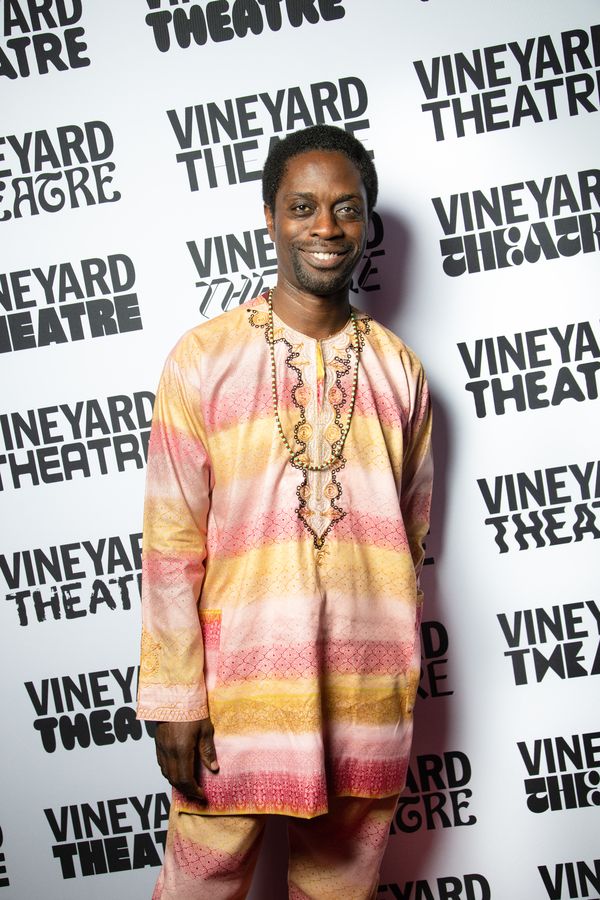 Photos: Go Inside Opening Night of THIS LAND WAS MADE at Vineyard Theatre — photo 1 of 29