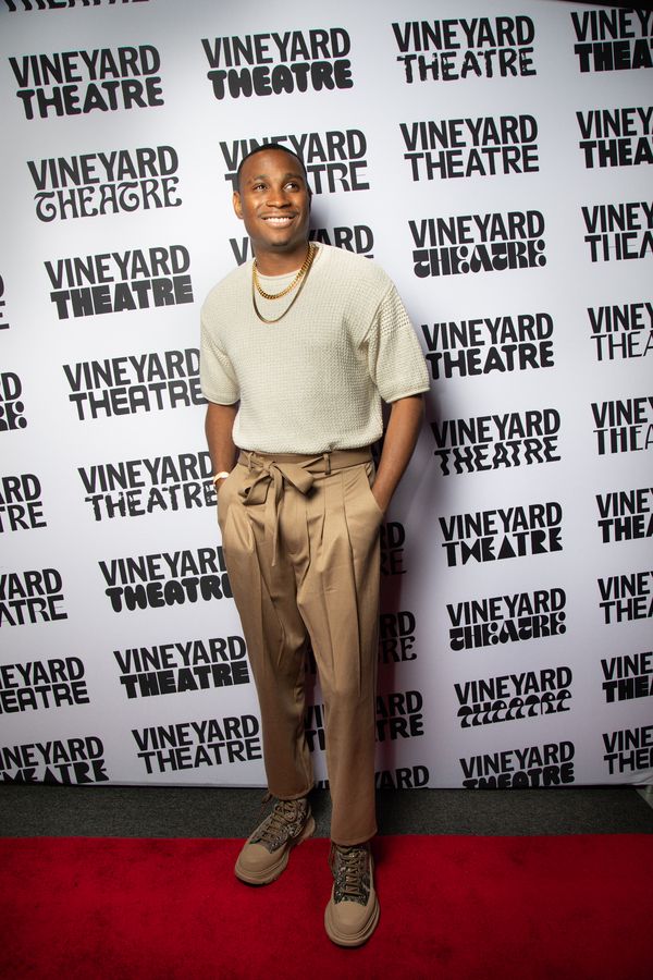 Photos: Go Inside Opening Night of THIS LAND WAS MADE at Vineyard Theatre — photo 26 of 29