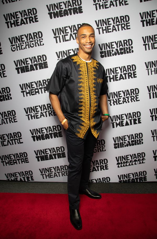 Photos: Go Inside Opening Night of THIS LAND WAS MADE at Vineyard Theatre — photo 6 of 29