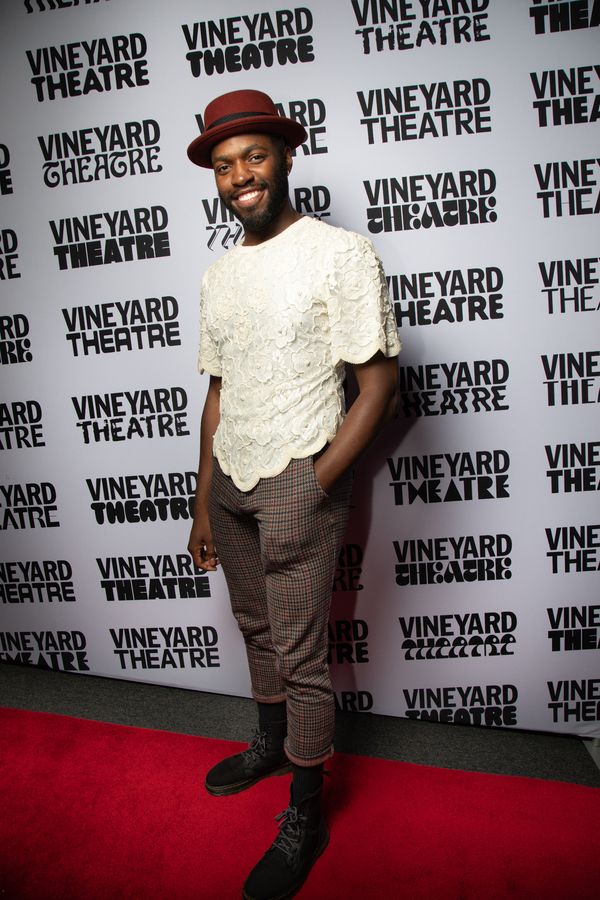 Photos: Go Inside Opening Night of THIS LAND WAS MADE at Vineyard Theatre — photo 7 of 29