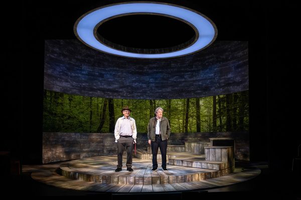 Ian McKellen and Roger Allam Photo