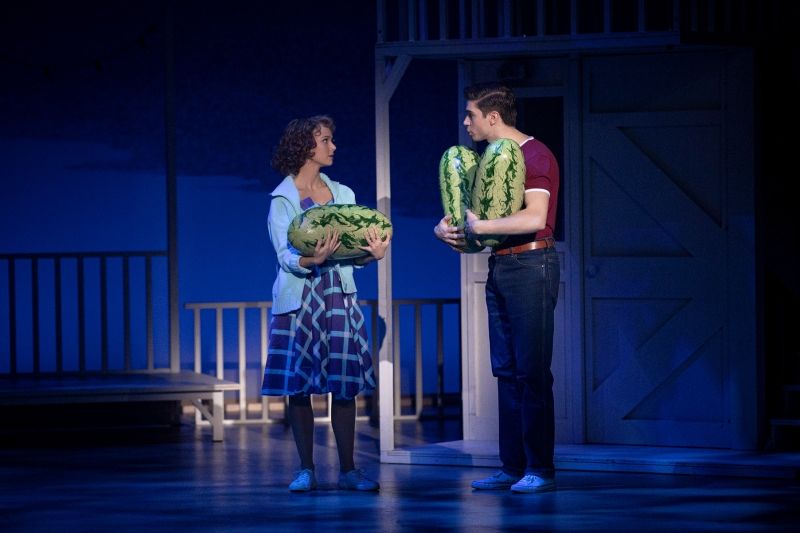 Review: DIRTY DANCING THE ORIGINAL LIVE ON TOUR at WIENER STADTHALLE Image