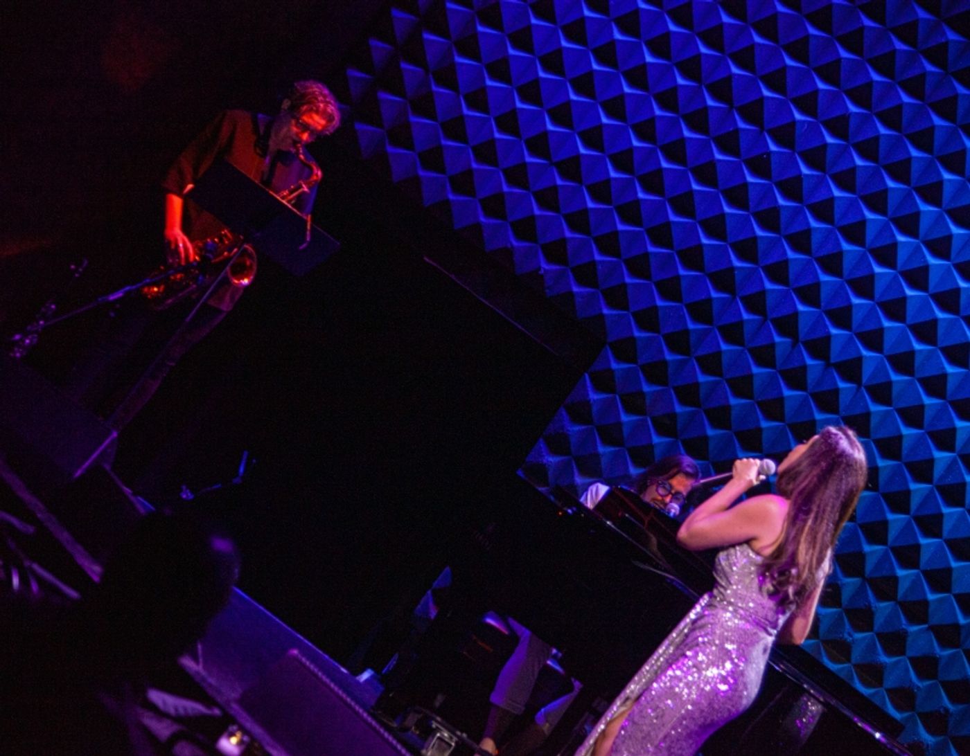 Review: 11th Year Of NIGHT OF A THOUSAND JUDYS An Extraordinary Night at Joe's Pub  Image