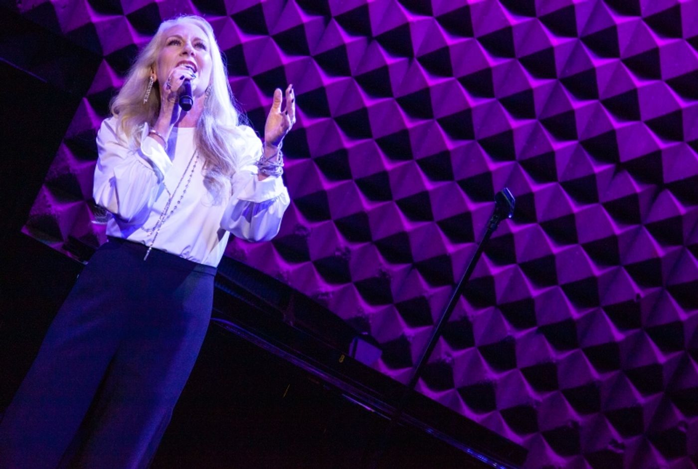 Review: 11th Year Of NIGHT OF A THOUSAND JUDYS An Extraordinary Night at Joe's Pub  Image