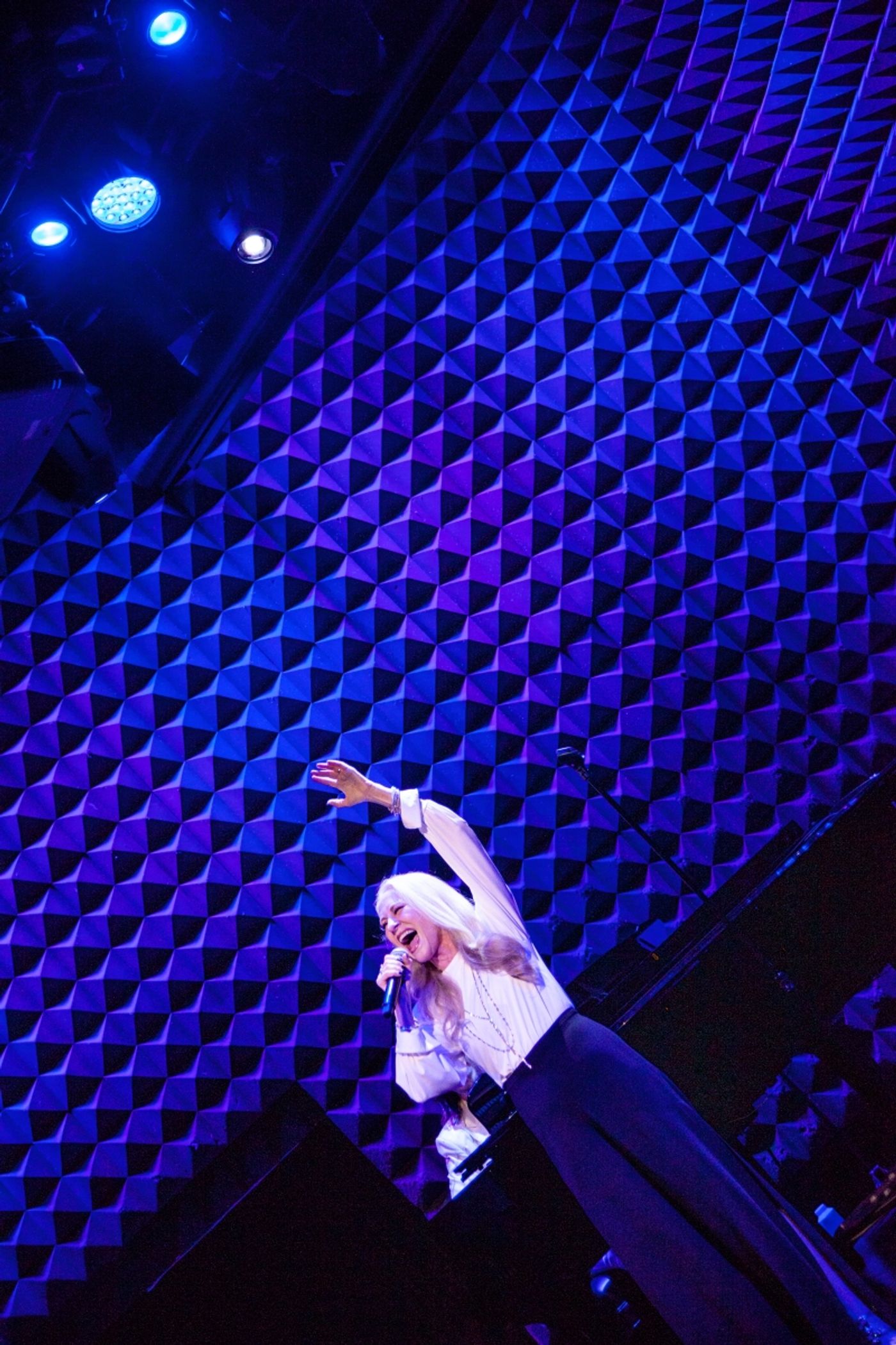 Review: 11th Year Of NIGHT OF A THOUSAND JUDYS An Extraordinary Night at Joe's Pub  Image