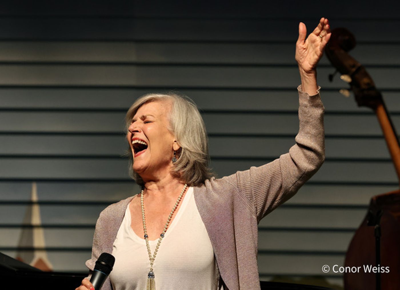 Photos: American Popular Song Society Honors Marilyn Maye With Lifetime Achievement Award  Image