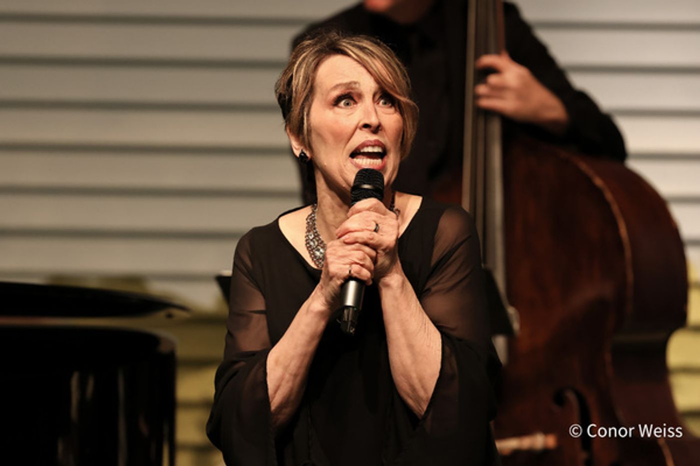 Photos: American Popular Song Society Honors Marilyn Maye With Lifetime Achievement Award  Image
