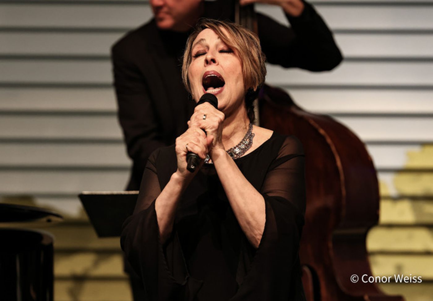 Photos: American Popular Song Society Honors Marilyn Maye With Lifetime Achievement Award  Image