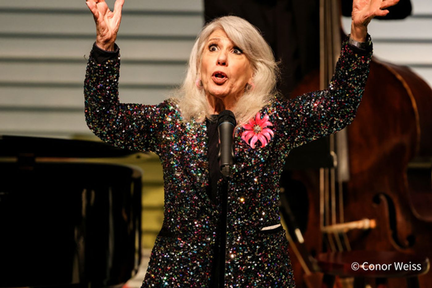 Photos: American Popular Song Society Honors Marilyn Maye With Lifetime Achievement Award  Image
