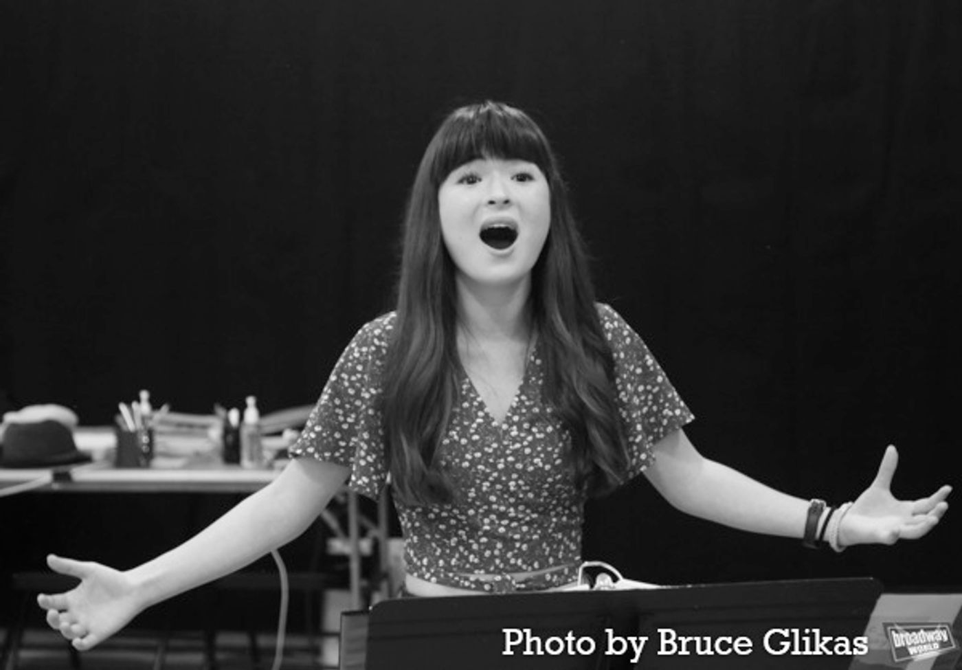 Photos: Encores! THE LIGHT IN THE PIAZZA Meets the Press  Image