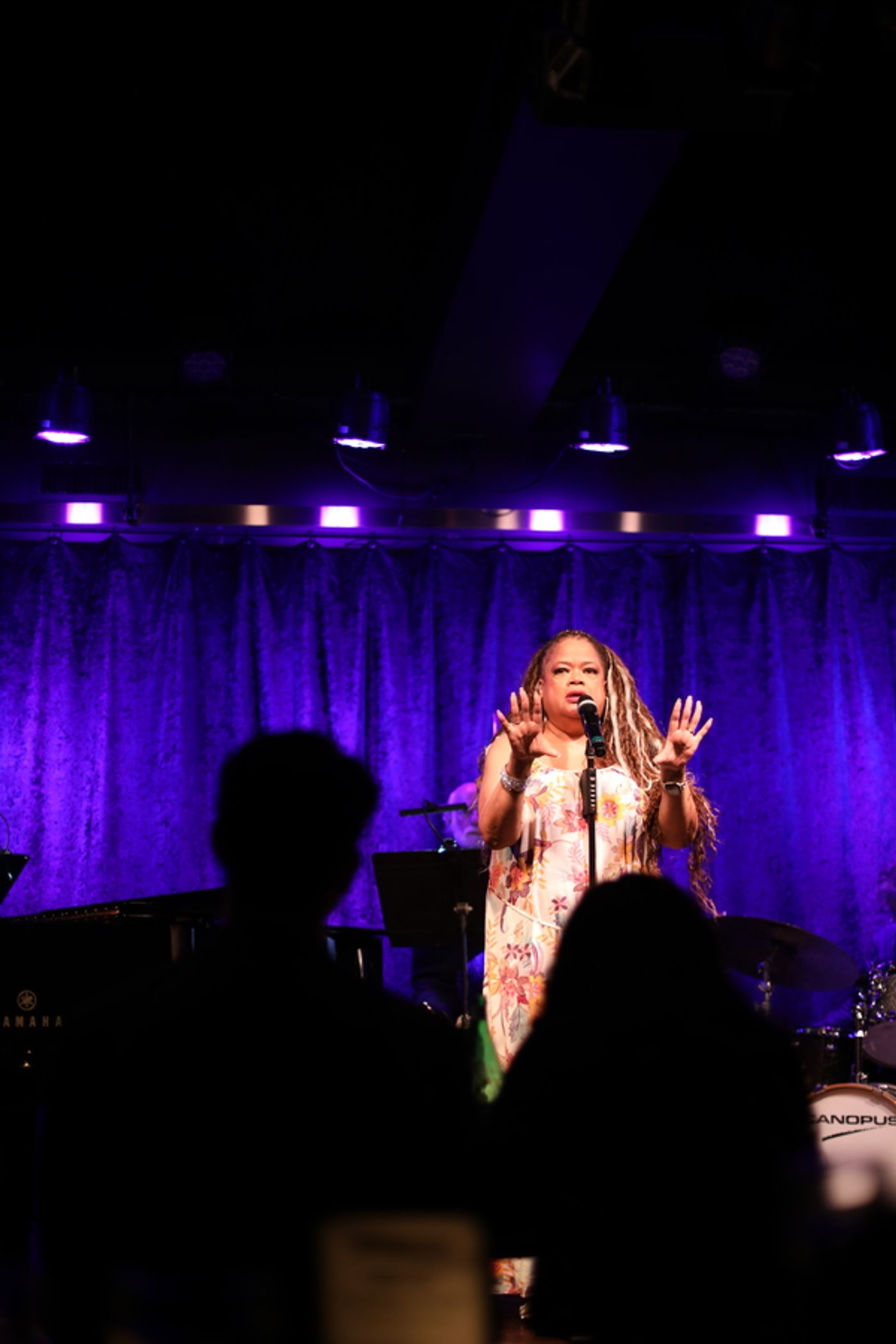 Photos: June 13th Performance of THE LINEUP WITH SUSIE MOSHER Welcomes Some Old Friends  Image