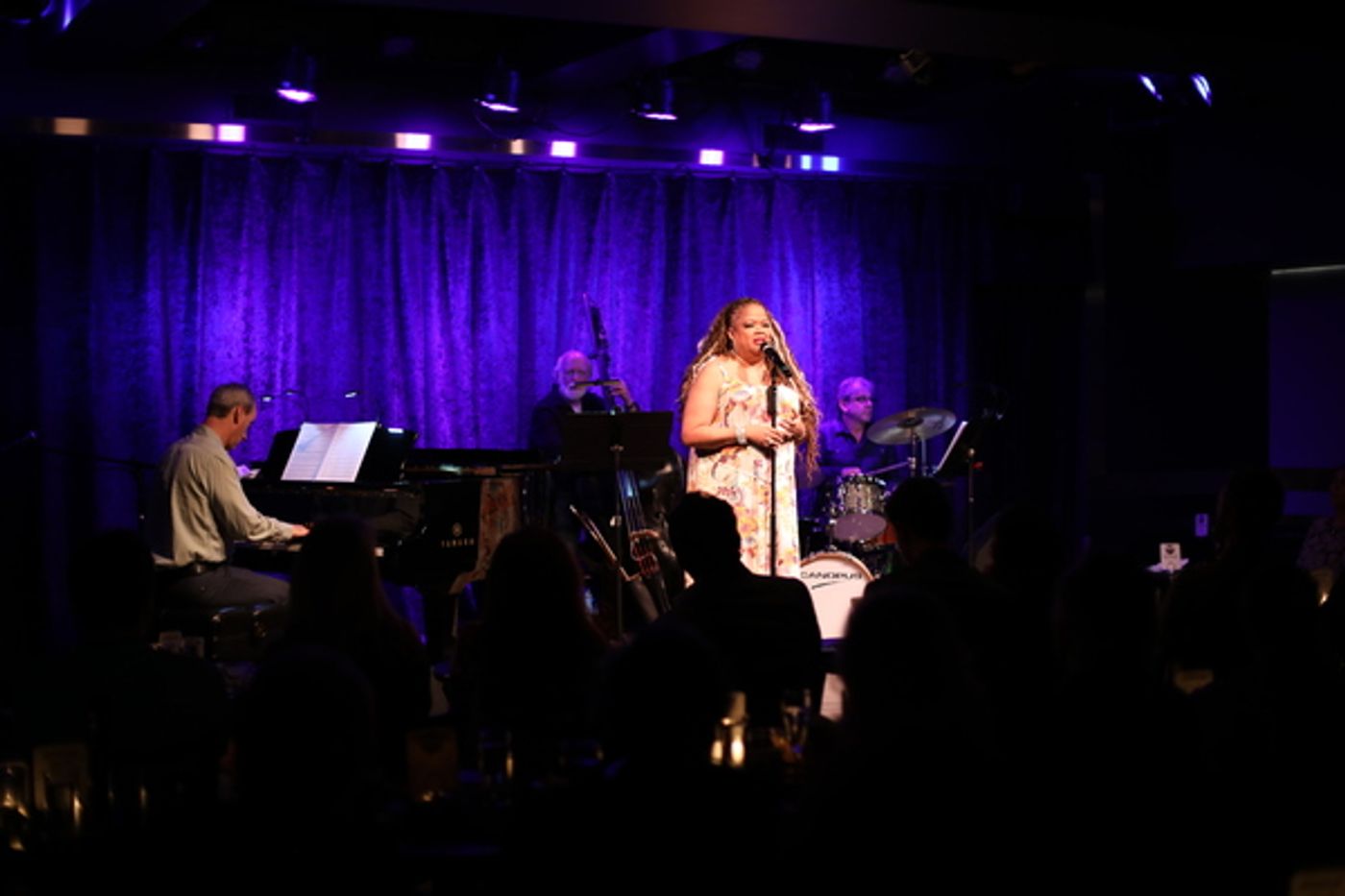 Photos: June 13th Performance of THE LINEUP WITH SUSIE MOSHER Welcomes Some Old Friends  Image