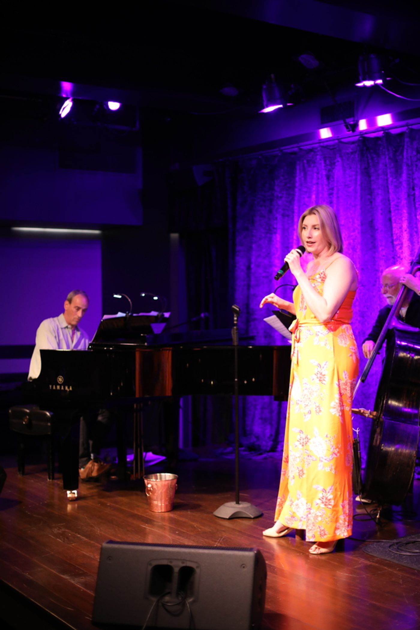 Photos: June 13th Performance of THE LINEUP WITH SUSIE MOSHER Welcomes Some Old Friends  Image