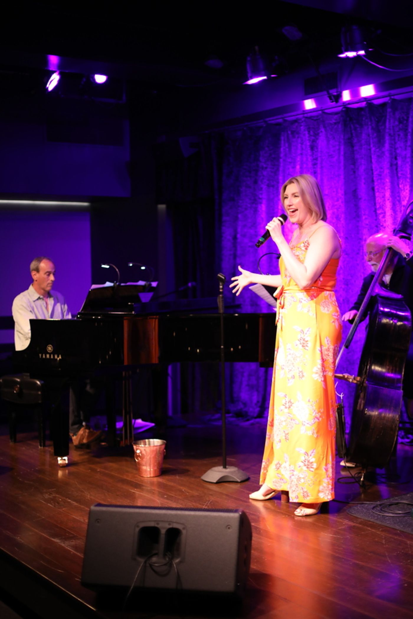 Photos: June 13th Performance of THE LINEUP WITH SUSIE MOSHER Welcomes Some Old Friends  Image