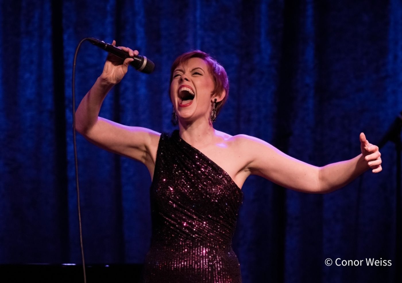Photos: HOORAY FOR HOLLYWOOD! Debuts At Birdland Theater  Image
