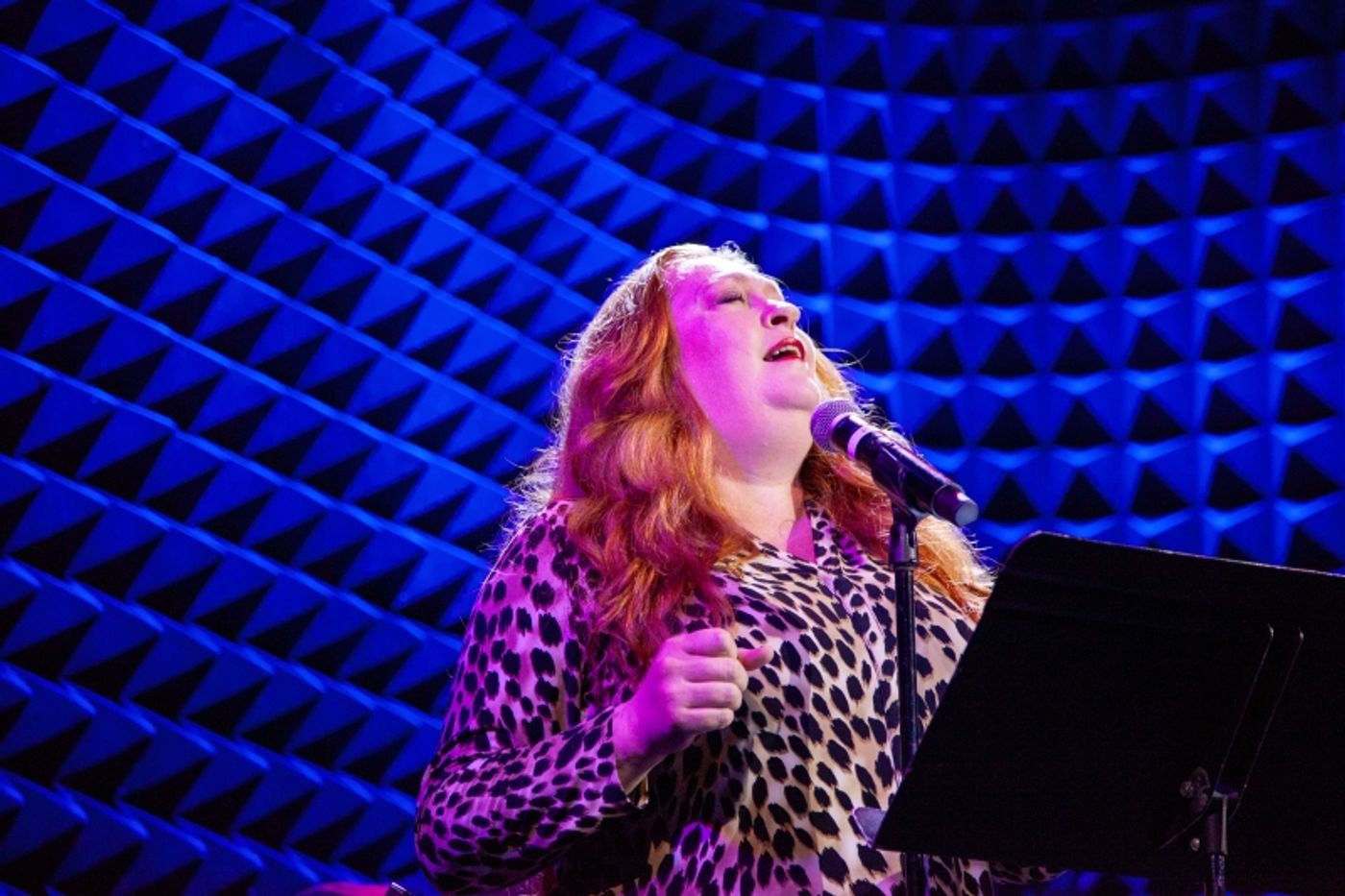 Photos: 5 & DIME: A NEW MUSICAL Plays Two Nights At Joe's Pub Photos: 5 & DIME: A NEW MUSICAL Plays Two Nights At Joe's Pub Image