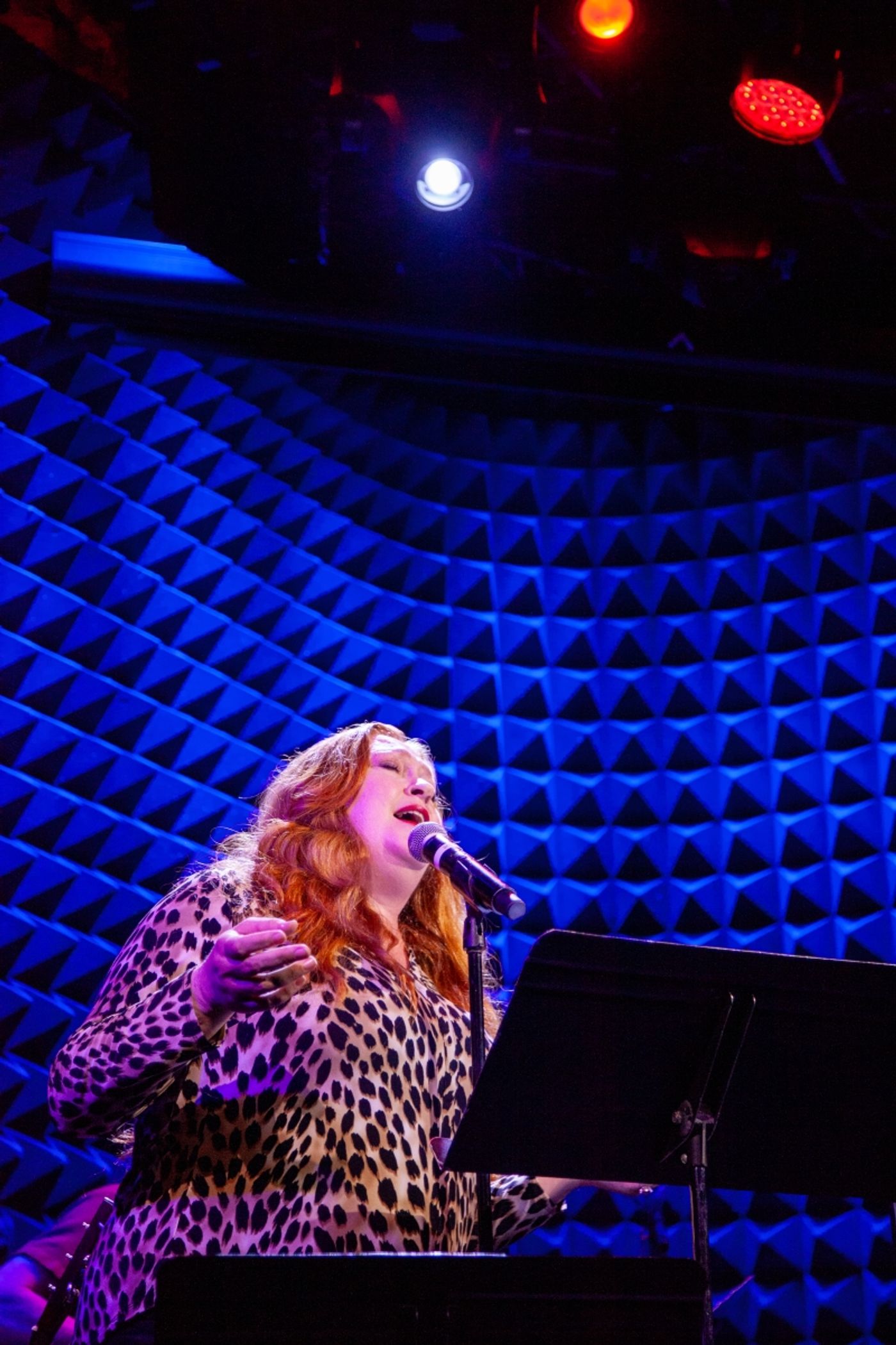 Photos: 5 & DIME: A NEW MUSICAL Plays Two Nights At Joe's Pub Photos: 5 & DIME: A NEW MUSICAL Plays Two Nights At Joe's Pub Image