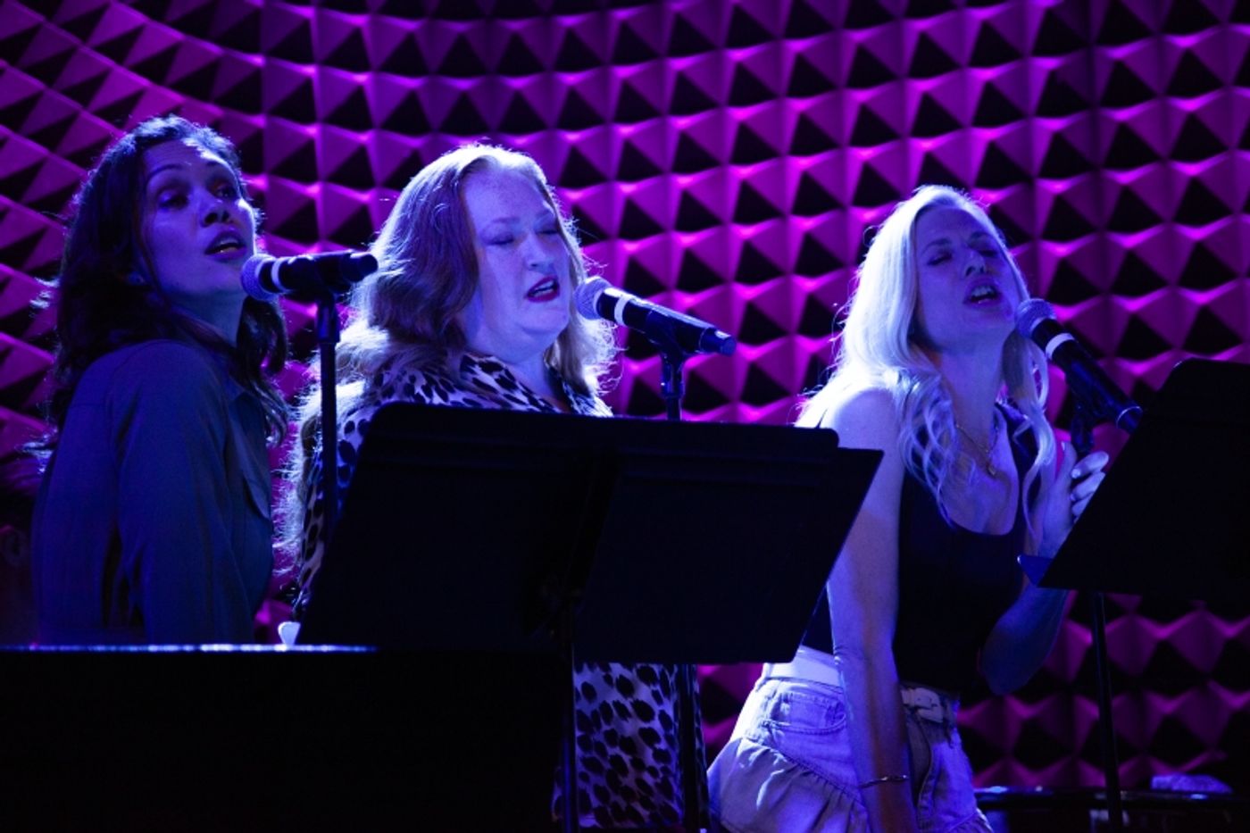 Photos: 5 & DIME: A NEW MUSICAL Plays Two Nights At Joe's Pub Photos: 5 & DIME: A NEW MUSICAL Plays Two Nights At Joe's Pub Image