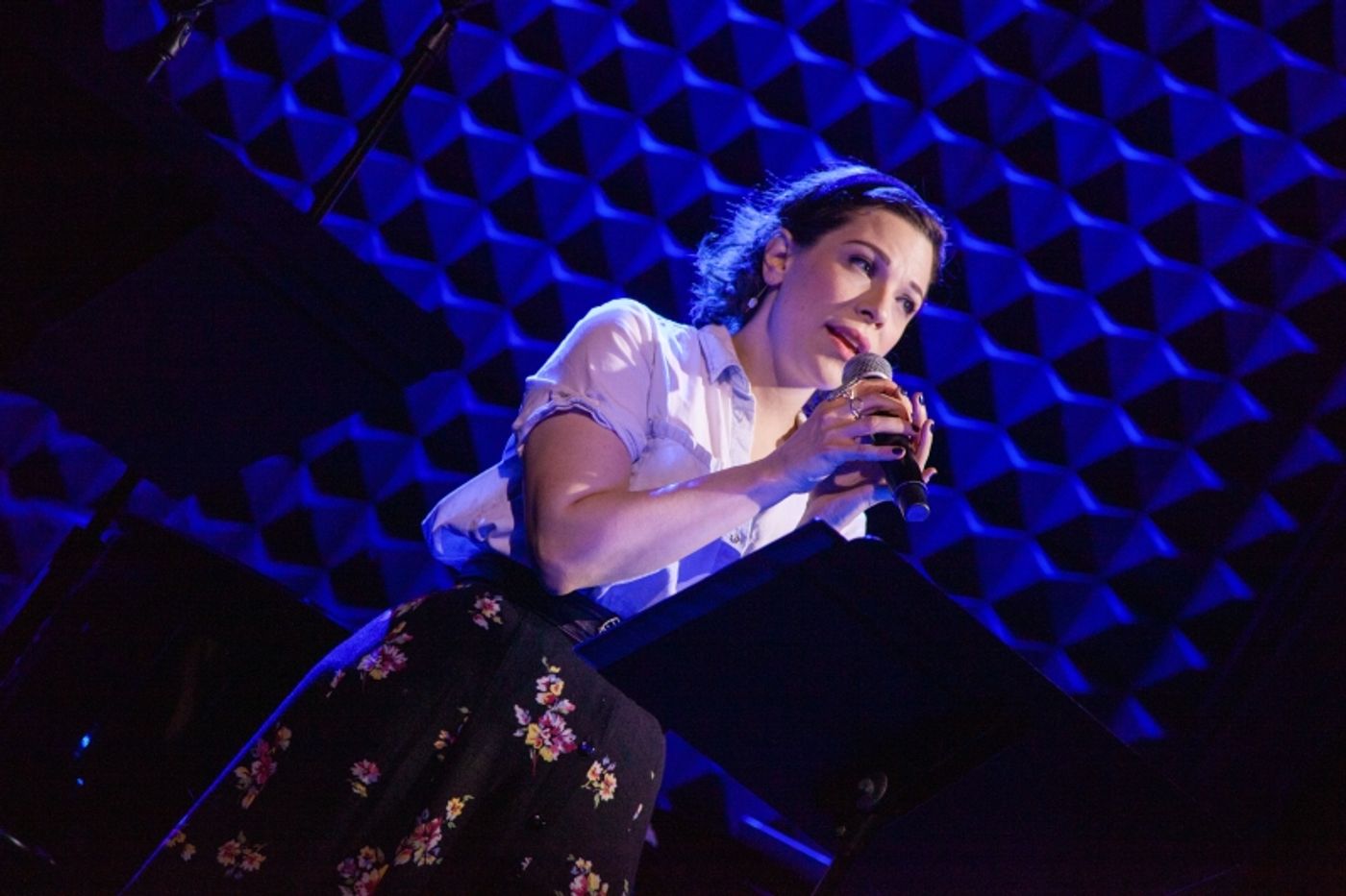 Photos: 5 & DIME: A NEW MUSICAL Plays Two Nights At Joe's Pub  Image