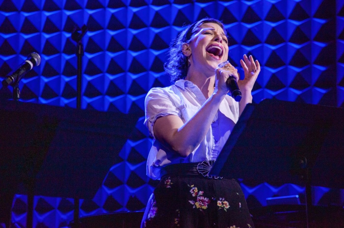 Photos: 5 & DIME: A NEW MUSICAL Plays Two Nights At Joe's Pub Photos: 5 & DIME: A NEW MUSICAL Plays Two Nights At Joe's Pub Image