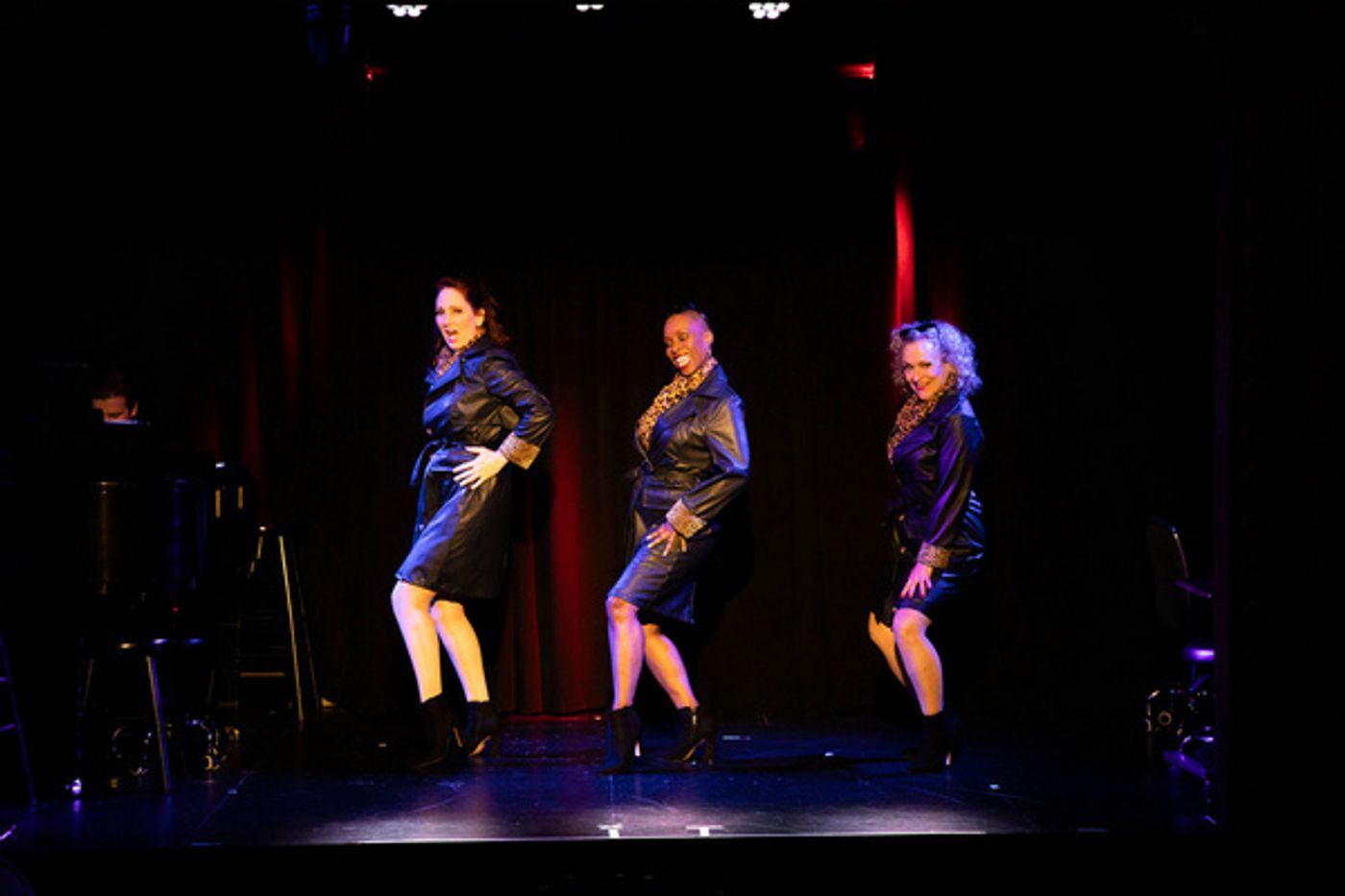 Photos: COUGAR, THE MUSICAL Reunion Show Opens At The Triad Photos: COUGAR, THE MUSICAL Reunion Show Opens At The Triad Image