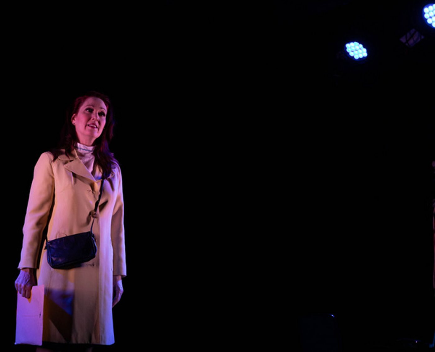 Photos: COUGAR, THE MUSICAL Reunion Show Opens At The Triad Photos: COUGAR, THE MUSICAL Reunion Show Opens At The Triad Image