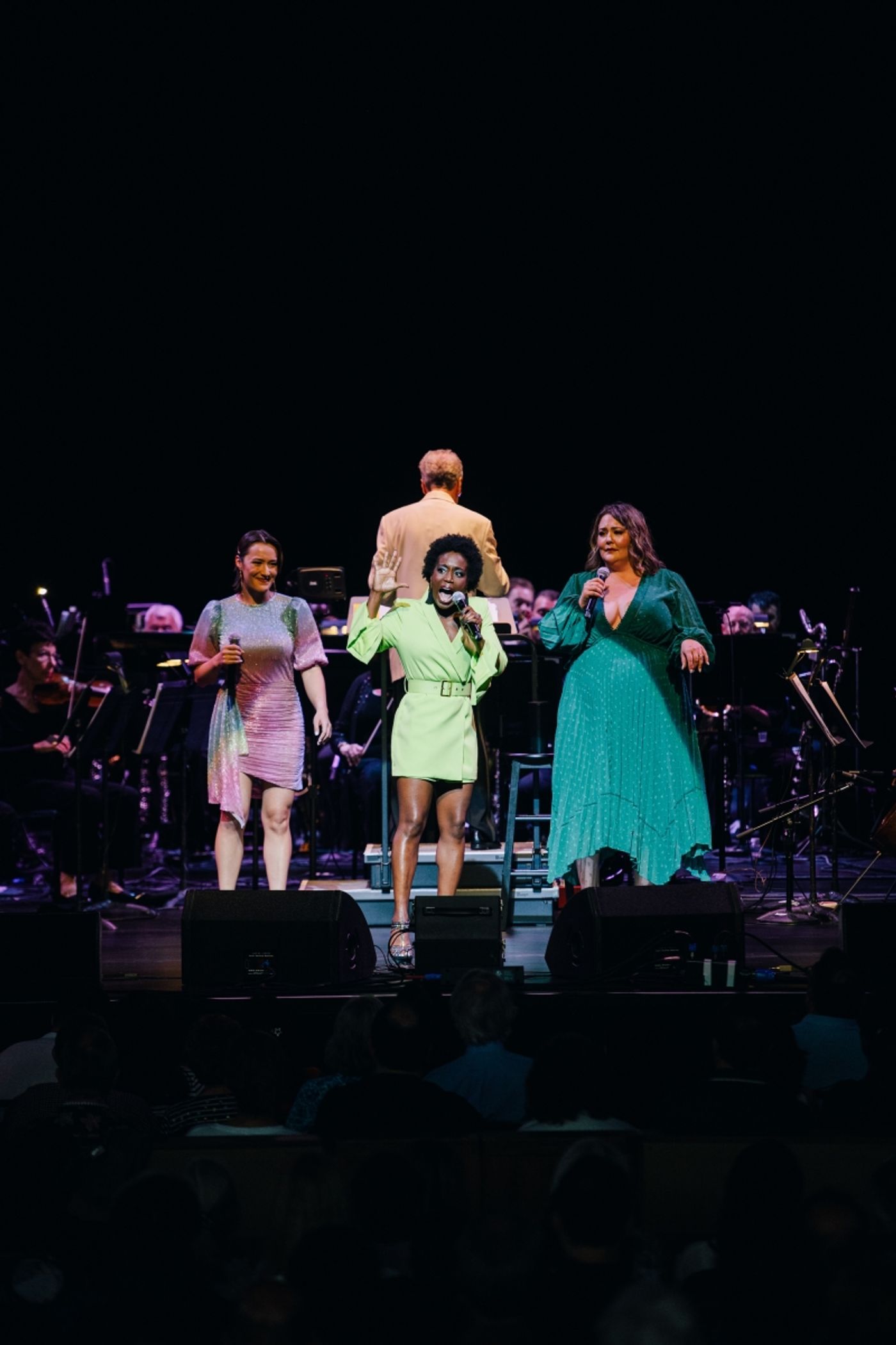 Review: BROADWAY IN THE PARK at Wolf Trap  Image