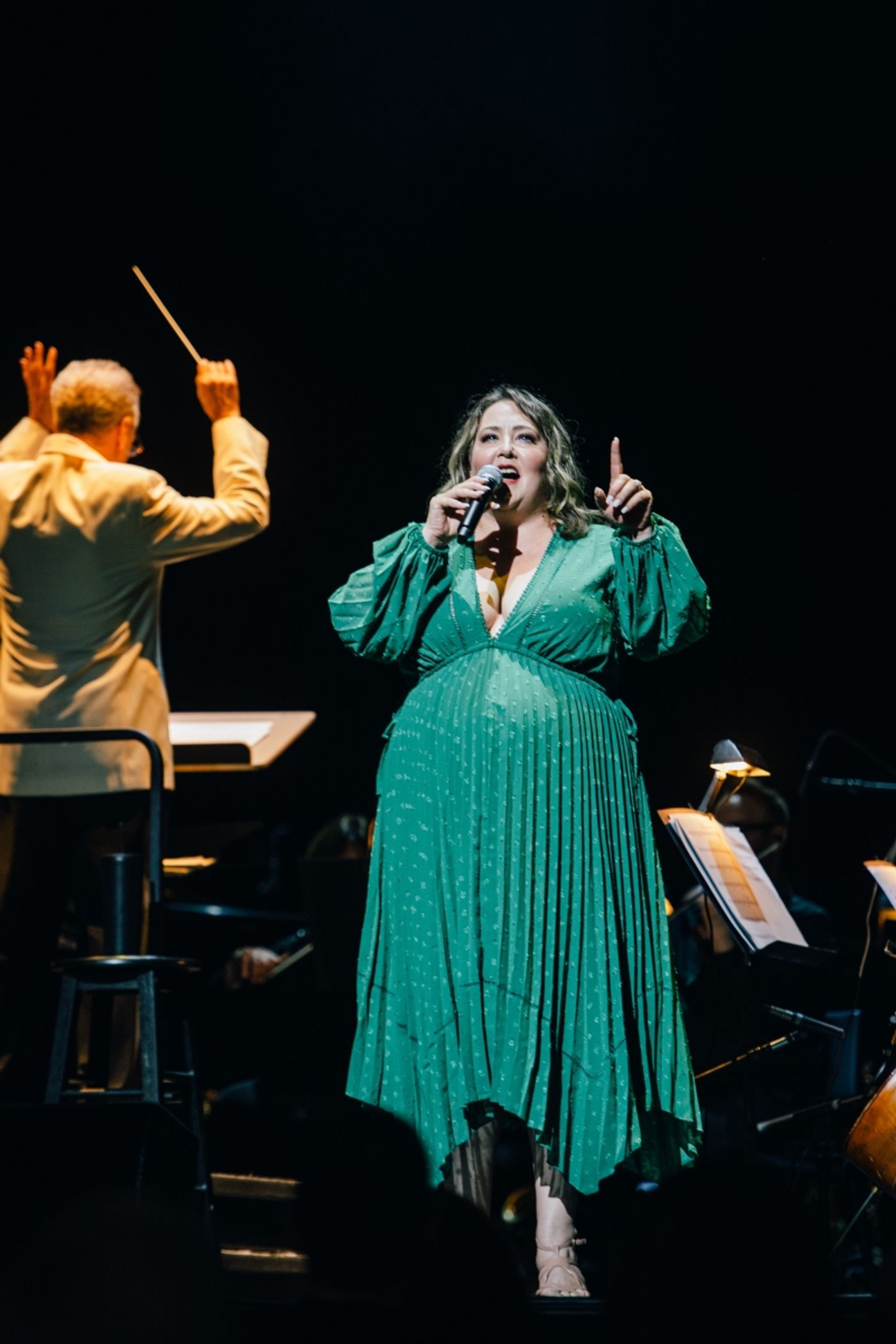 Review: BROADWAY IN THE PARK at Wolf Trap  Image