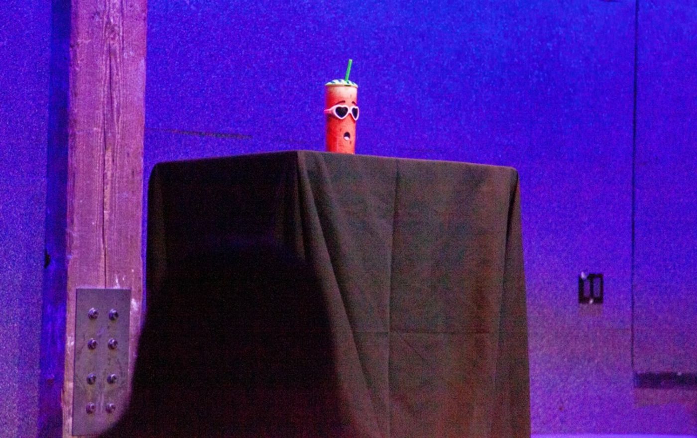 Review: Online Viral Sensations Robyn Schall & Will Burkart Knock It Out With Jokes & Stories At City Winery Review: Online Viral Sensations Robyn Schall & Will Burkart Knock It Out With Jokes & Stories At City Winery Image