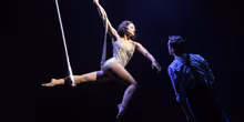 See Ryan Vasquez, Isabelle McCalla & More in WATER FOR ELEPHANTS World Premiere