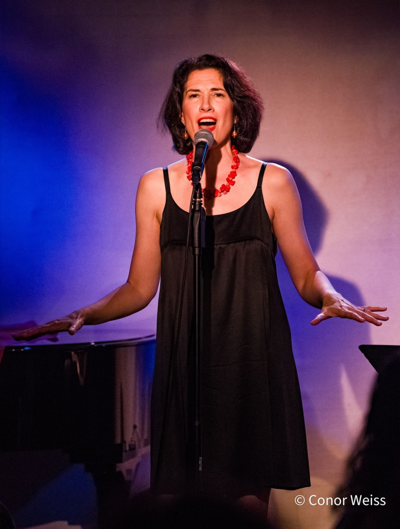 Photos: Conor Weiss Captures The MEG & JOHN REUNION SHOW at Don't Tell Mama Photos: Conor Weiss Captures The MEG & JOHN REUNION SHOW at Don't Tell Mama Image