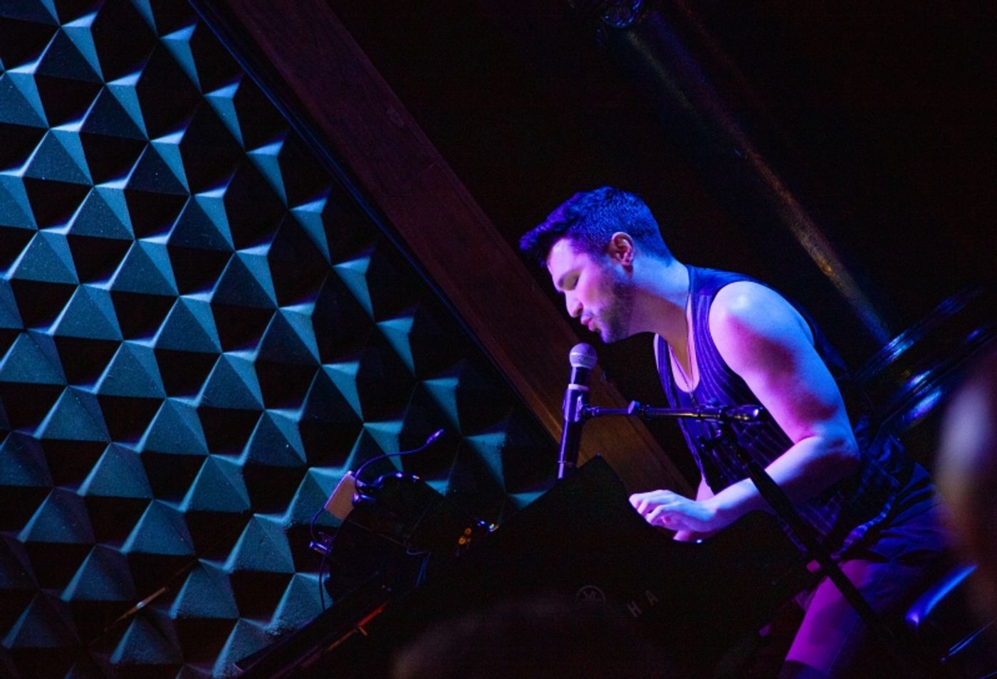 Review: ALEXIS MICHELLE Aces Joe's Pub Debut  Image