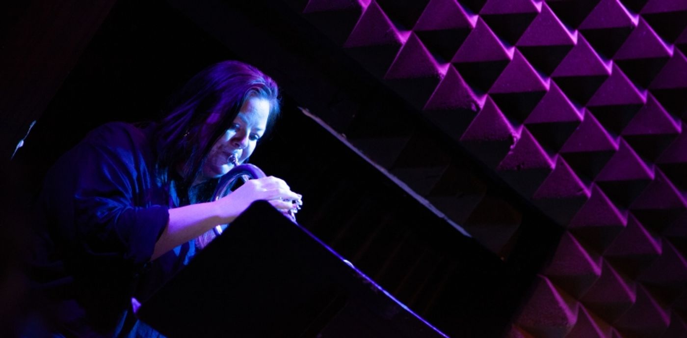 Review: ALEXIS MICHELLE Aces Joe's Pub Debut  Image