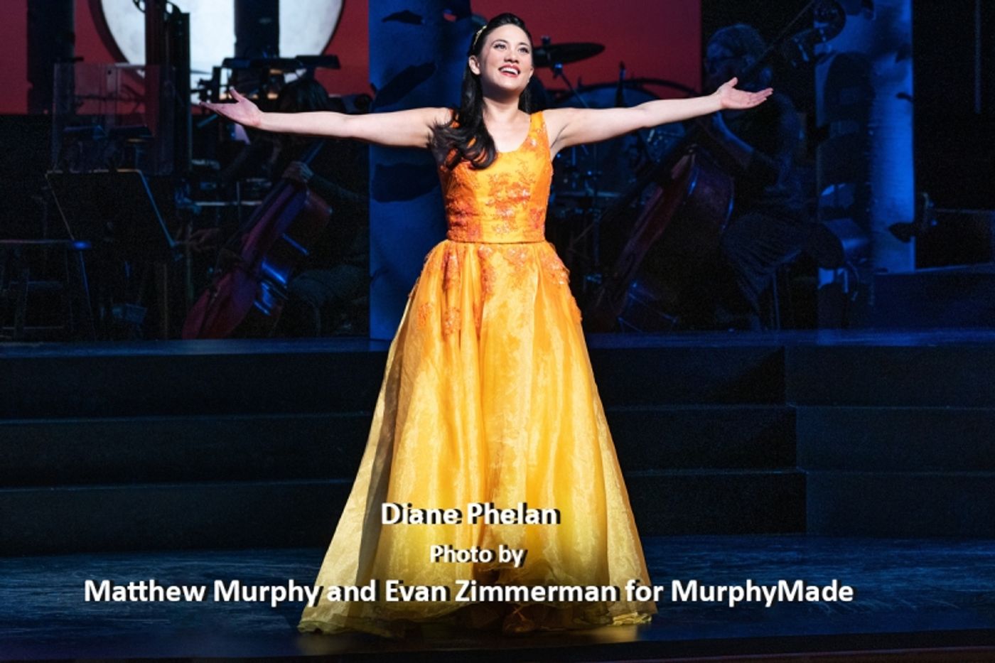 Interview: Diane Phelan's A Cinderella Story For All Little Asian Girls in INTO THE WOODS  Image