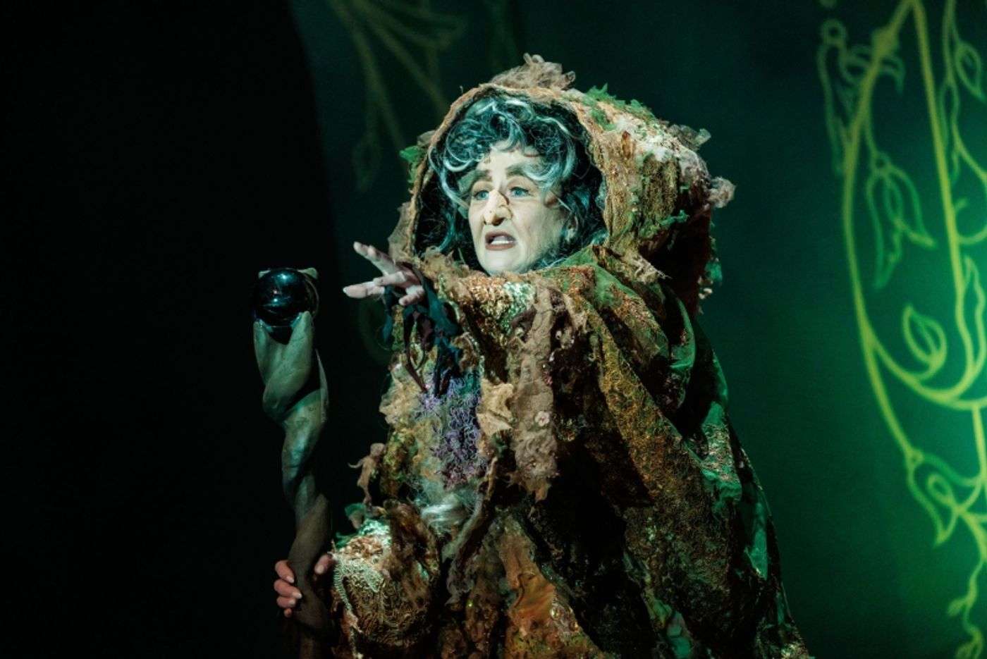 Interview: Vicki Lewis Is 'The Witch' in The REV's INTO THE WOODS  Image
