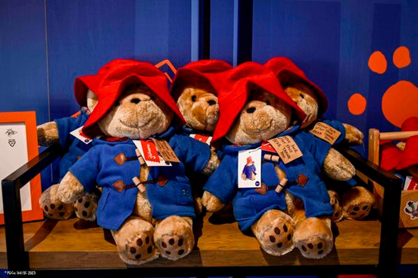 Photos: First Look at PADDINGTON LO-COMMOTION at Blenheim Palace  Image